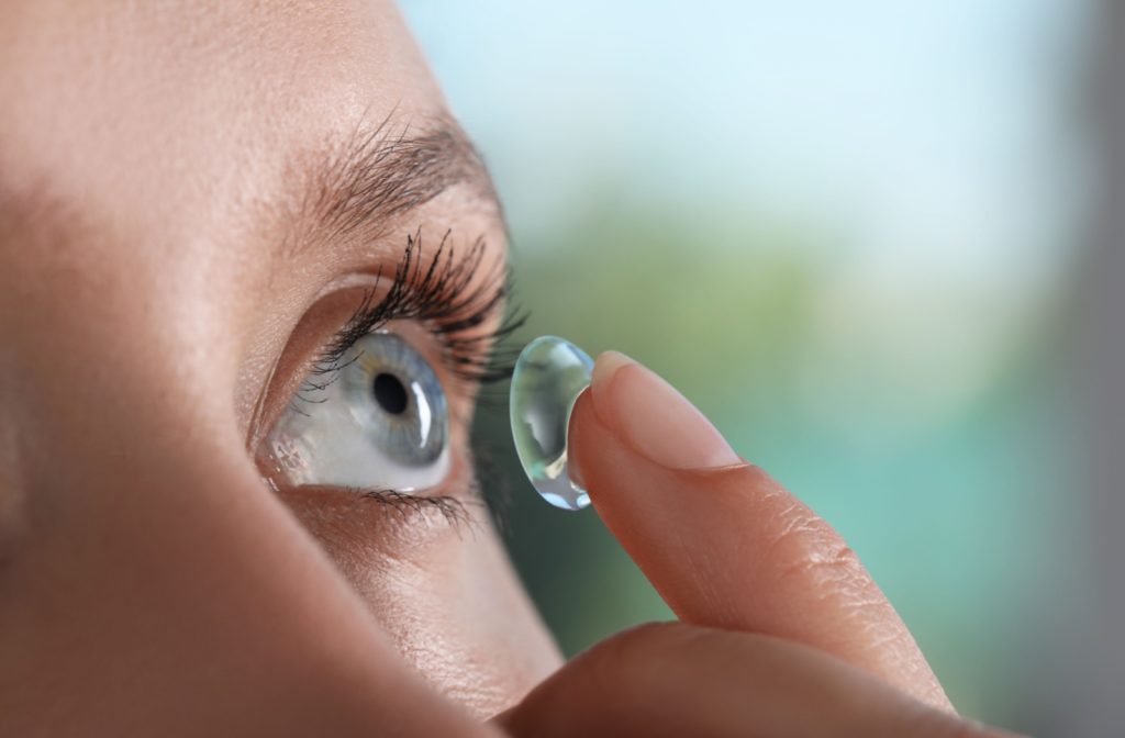 Contact Lenses