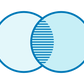 Verres polarisés