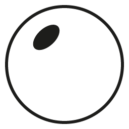 Lentilles Transitions
